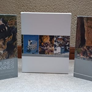 COMMUNES VALAISANNES VUES D'OISEAU